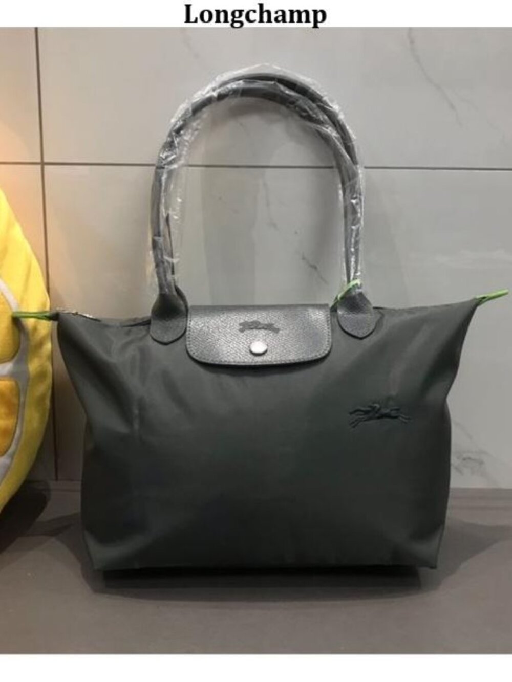 Longchamp women's bags